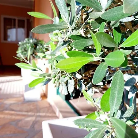 Vergina Star Hotel Nikiana