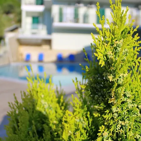 Vergina Star Hotel 3*