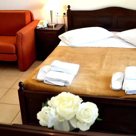 Vergina Star Hotell 3*