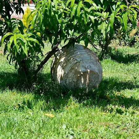 Vergina Star Hotell Nikiana