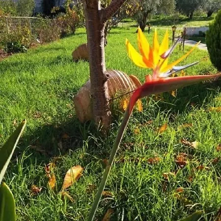 Hotell Vergina Star Nikiana