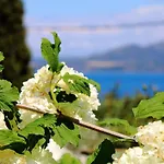 Vergina Star Ξενοδοχείο