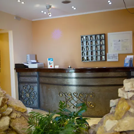 费尔吉纳星级酒店 酒店 尼基亚娜