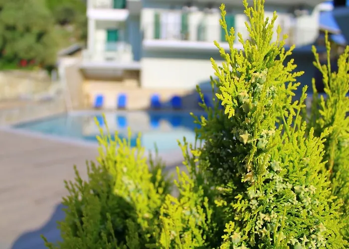 Vergina Star 호텔 3*