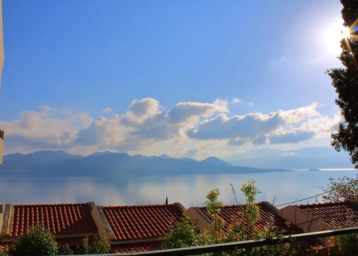 Vergina Star 니키아나