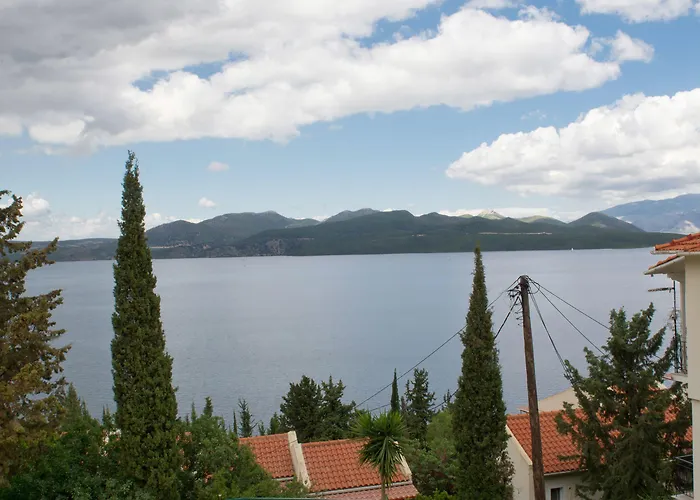 Vergina Star 니키아나