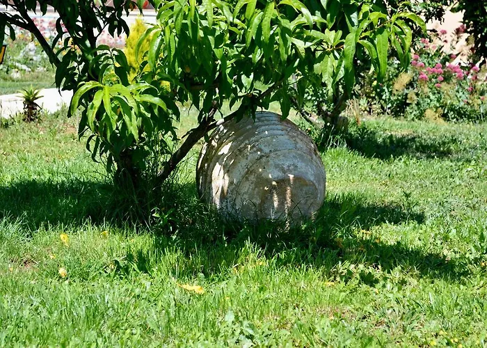 Vergina Star 호텔 니키아나